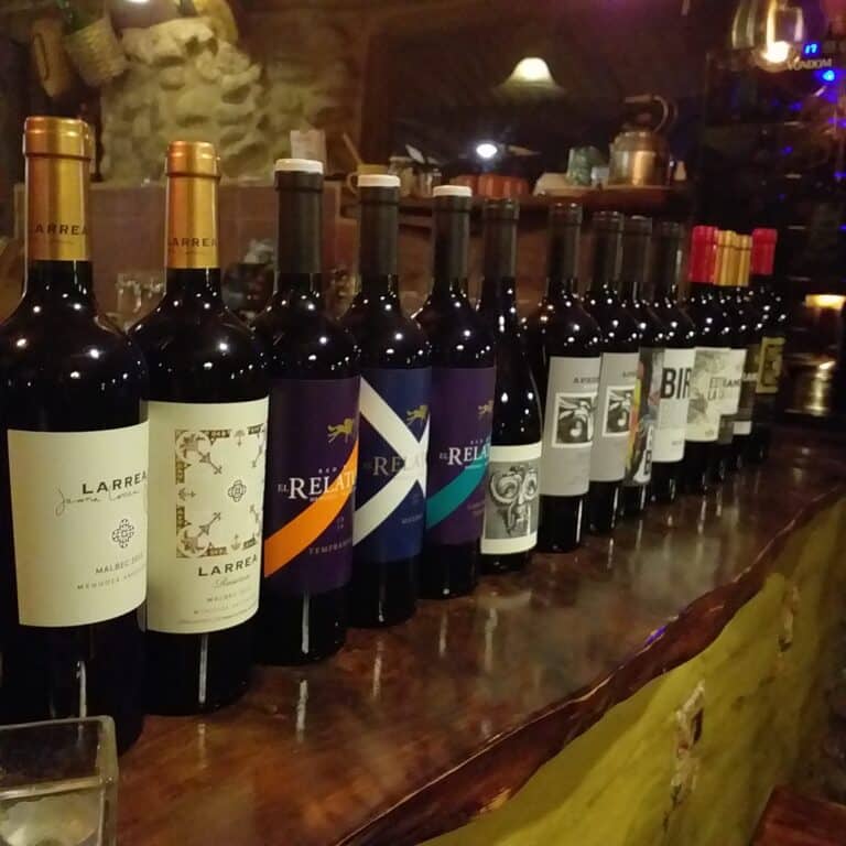 Conjunto de botellas de vinos premium dispuestos en fila de distinta marcas sobre una base de madera que representa la mejor selección de vinos de las sierras de cordoba