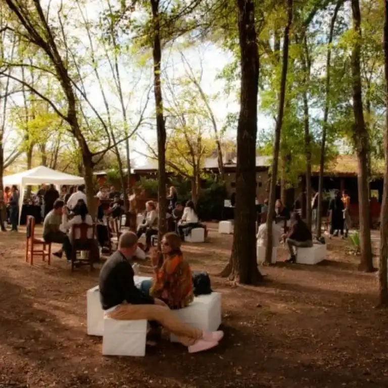 Celebración al aire libre bajo los árboles en un entorno natural, con grupos de personas disfrutando de un evento organizado en La Cala, destacando la excelencia como un lugar para la Organización de eventos en Villa General Belgrano para ocasiones únicas y memorables.